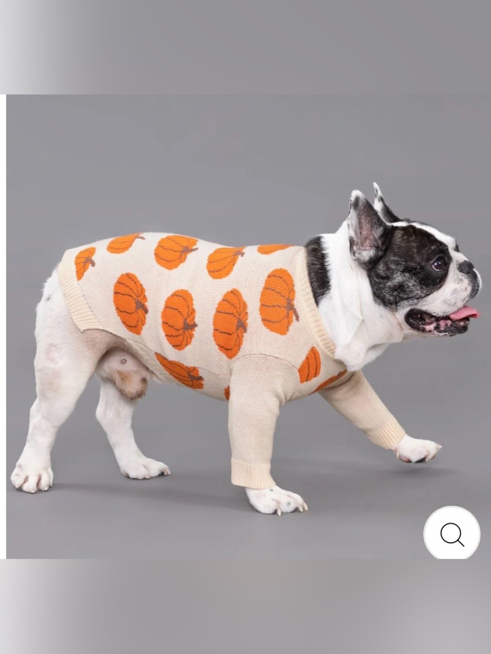 🎃PUMPKIN Dog Sweater - Antique Cream & Orange Knit Fall Pet Pullover